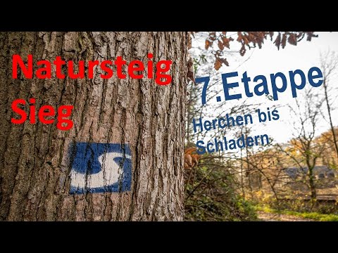 Natursteig Sieg - 7. Etappe - Herchen bis Schladern wandern.