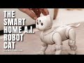 MEET MAICAT THE SMART HOME A I ROBOT CAT Kickstarter Gizmo Hub Com