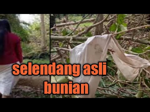 lagi pulung dapet selendang bunian di tengah tengah utan jati