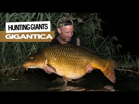 Hunting 100lb Giants at Gigantica | Darrell Peck | Extract