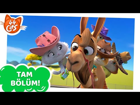 44 Kedi | TAM BÖLÜM | Dört Kedi ve Bir Deve | Sezon 1 Bölüm 20