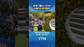 1억 송이 봄꽃 향연 #shorts / YTN