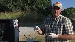 Testing for Nitrates in Forage Sorghum