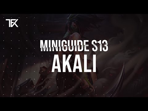 Akali Miniguide S13 | Team Freekills