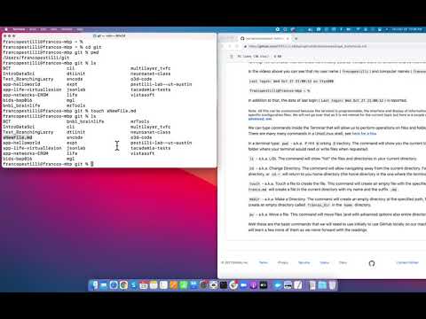 Using basic commands in the terminal