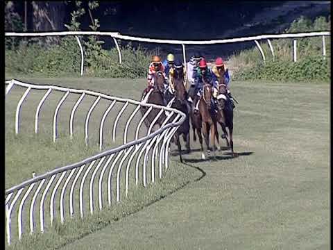 Galoppo 18/06/2019 - 3ª corsa