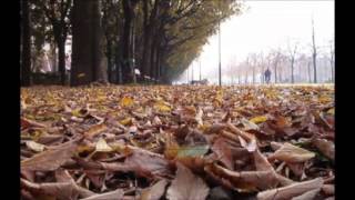 Riccardo Cocciante GLI ALBERI DELLA CITTÀ