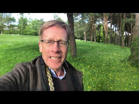 17 Fehler im Verkauf – und wie Sie diese vermeiden