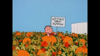 Real Estate - Holding Pattern