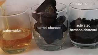 Activated Bamboo Charcoal vs. Normal Charcoal/ absorption ability test