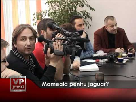 Momeală pentru jaguar?