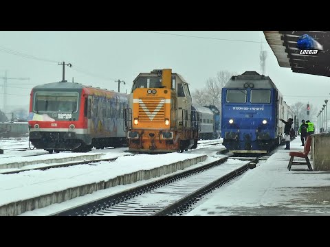 Trenuri în Zăpadă în Gara Satu Mare🚂 ☃🚆 Trains Snow in Gara Satu Mare - 28 January 2022