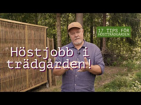 17 tips för höstträdgården!