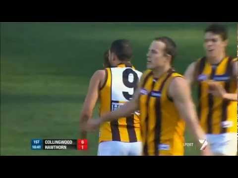 Round 17 AFL - Collingwood v Hawthorn highlights