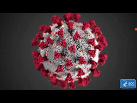 NY Coronavirus Latest