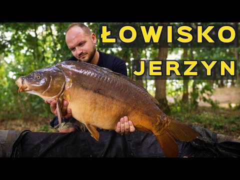 ŁOWISKO JERZYN  ❤️❤️ZIG-RIG ratuj !