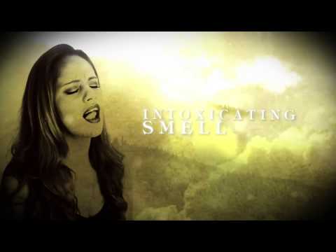 Vandroya - I'm Alive [OFFICIAL LYRIC VIDEO]