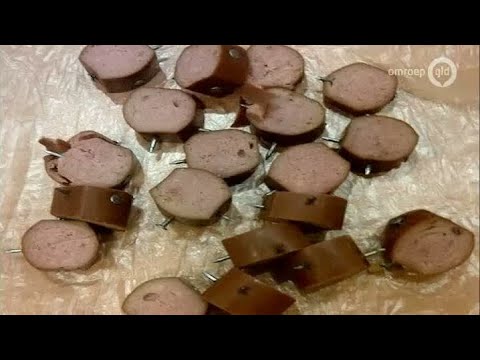 GLD Nieuws 1 april 2013 - Nieuws