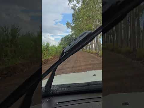 CHÁCARA PANORÂMICA CASA 4 QUARTOS TERRA ROXA MUITA FRUTA E LAVOURA R$ 250 MIL - Código: 2619