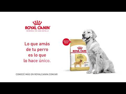 Royal Canin | Nutrición Específica para tu Golden Retriever