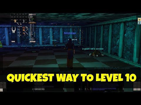 10 Levels In 2 Hours - Quickest Way To Get Through Early Levels - Everquest Project 1999