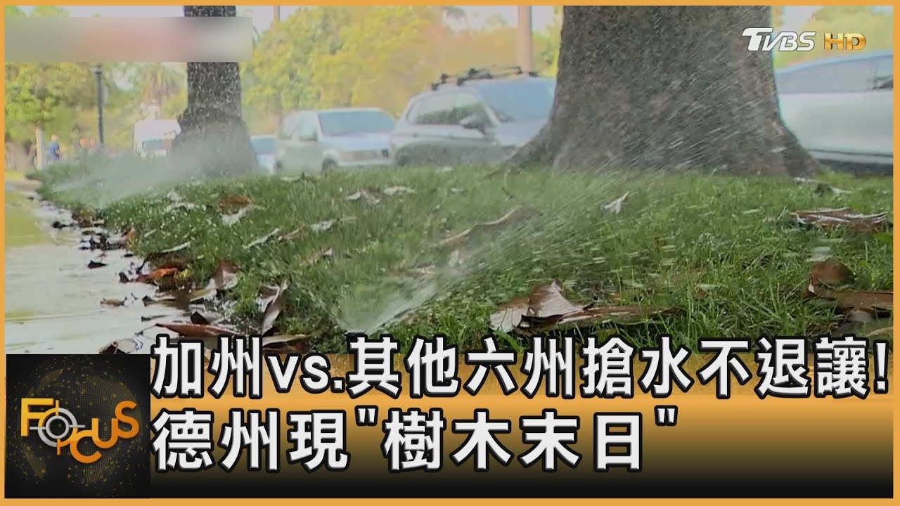 加州vs.其他六州搶水不退讓!德州現「樹木末日」