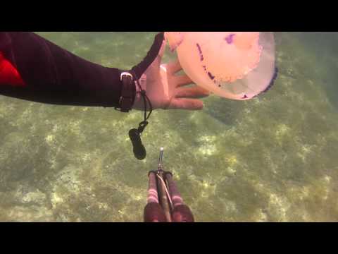 download lagu mp3 mp4 Meduza Opekotina, download lagu Meduza Opekotina gratis, unduh video klip Meduza Opekotina