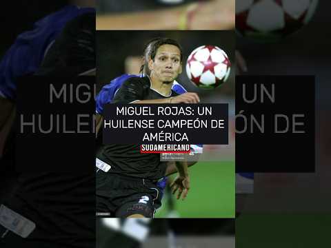 De Aipe, Huila, a levantar la Copa Libertadores. 🏆🇨🇴 #futbol #seleccioncolombia #fútbolconpasión