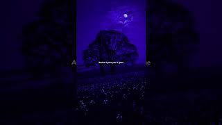 Download lagu Dynasty - MIIA (lyrics) 'It all fell down, it all fell down'|| #dynasty #miia #shorts mp3