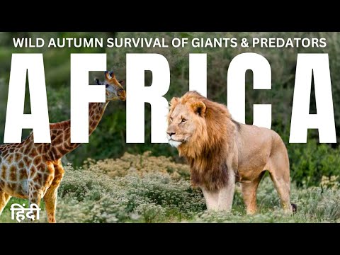 Wild Autumn: Survival of Giants & Predators in Africa | documentary in hindi national geographic