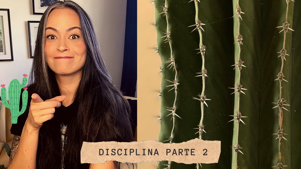 Disciplina (2/2) | Vlog 02