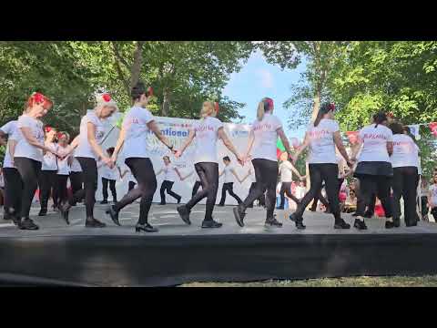 Гайтани Турция 2024