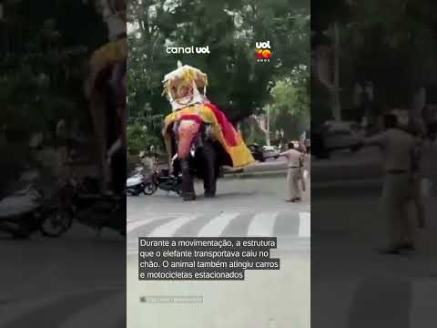 Elefante perde o controle em meio à multidão e interrompe celebração religiosa na Índia