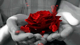 ALL THE LOVE IN THE WORLD - (Lyrics)