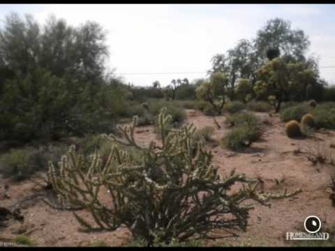 $179,999 in APACHE JUNCTION 85119.  Call  Tracy Snyder: (480) 593-7111