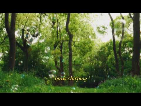 sad dad - BIRDS (Lyric Video)