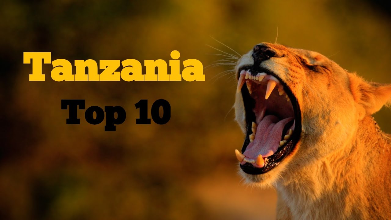 Top 10 Places to Visit in Tanzania | Ultimate Safari & Travel Guide 🇹🇿  @TravellingDepot  #video