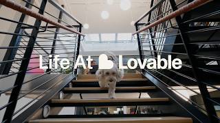 What It’s Like to Work at Lovable