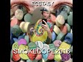 Smokedope2016 PERIPHERALS Unreleased Song
