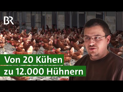 , title : 'Vom Milchbauern zum Bio-Hühnerhalter: Lohnt sich der Umstieg? | Bioeier | Unser Land | BR'
