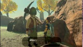 ゼルダの伝説ブレスオブザワイルド＃２１
