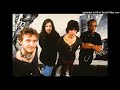 Spin Doctors Two Princes HD
