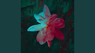 Pikiran dan Perjalanan