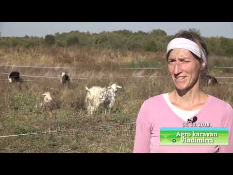 Agro karavan ep.61 Specijal 27.01.2019. - korisni saveti i primeri dobre poljo proizvodnje