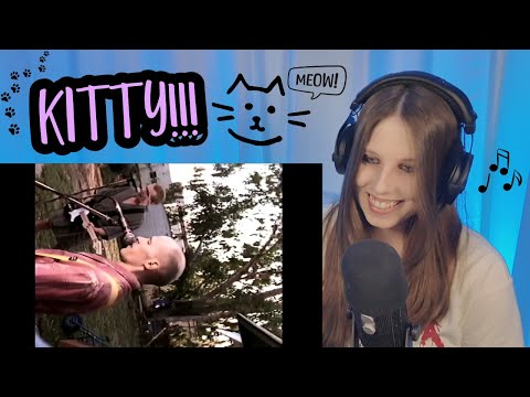 Los presidentes de los Estados Unidos de América - Kitty | Reacción