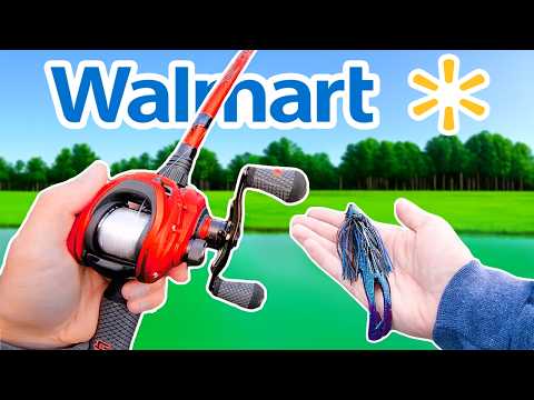 Walmart CHEAP vs EXPENSIVE Budget Fishing Challenge!