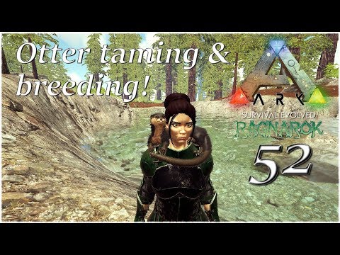 Ark Survival Evolved Ragnarok - Ep 52 - OTTER taming and breeding!