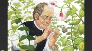 Mendel e le sue Tre Leggi