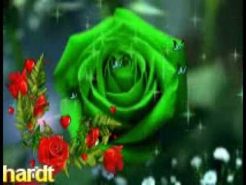 Herzlichen Glückwunsch liebe Prisca