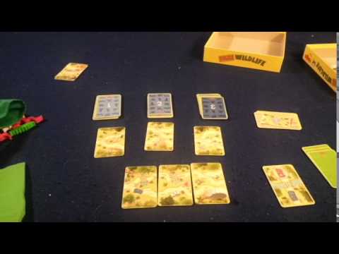 Bower's Game Corner: Taxi Wildlife Review